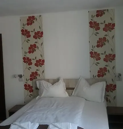 Pensiunea Argesu ** Guest house Sinaia