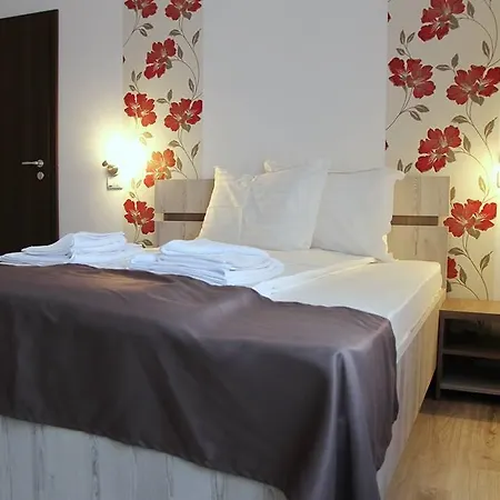 Guest house Pensiunea Argesu **