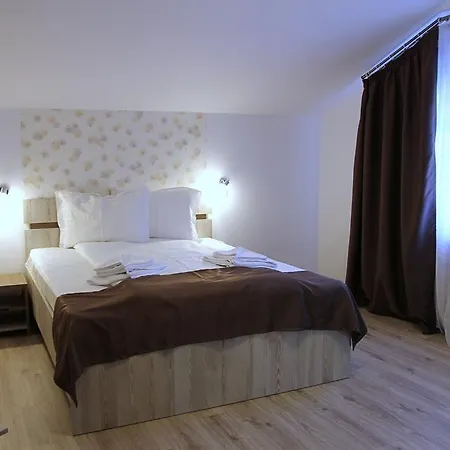 Pensiunea Argesu ** Guest house Sinaia