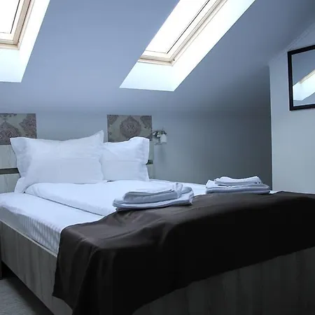 Pensiunea Argesu ** Guest house 2*
