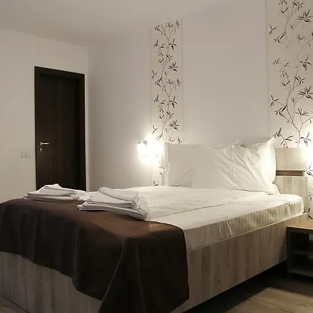 Pensiunea Argesu ** 2* Sinaia