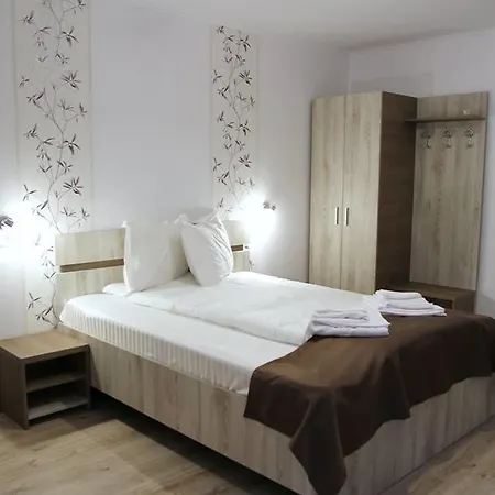 Pensiunea Argesu ** Guest house 2*