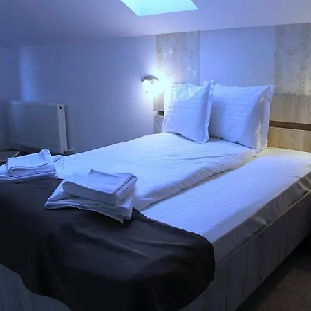 Guest house Pensiunea Argesu ** Sinaia
