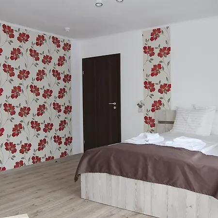 Pensiunea Argesu ** Guest house 2*