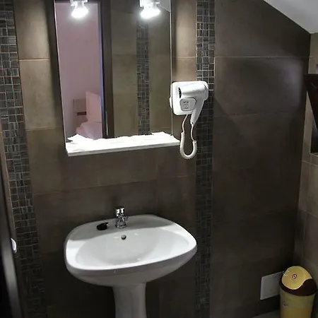 Guest house Pensiunea Argesu **