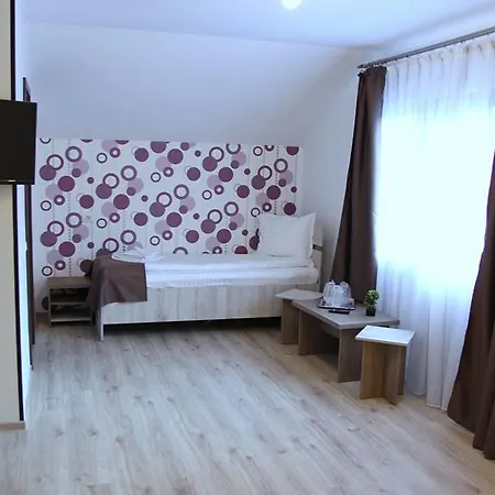 Pensiunea Argesu ** 2*